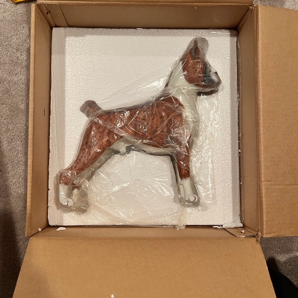Never displayed, beautiful Boxer model. - Picture 3 of 9